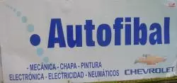 Autofibal